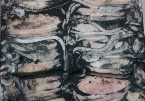 WhatsApp Image 2025-12-05 at 11.21.22 PM (2)