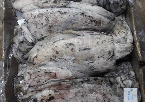 WhatsApp Image 2025-12-05 at 11.21.22 PM