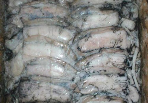 WhatsApp Image 2025-12-05 at 11.21.23 PM