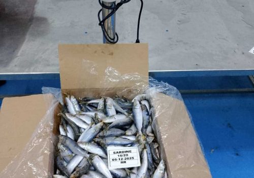 WhatsApp Image 2025-12-05 at 9.21.28 PM