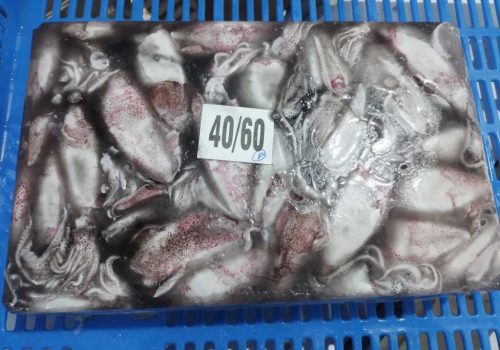 WhatsApp Image 2025-12-30 at 2.53.19 PM