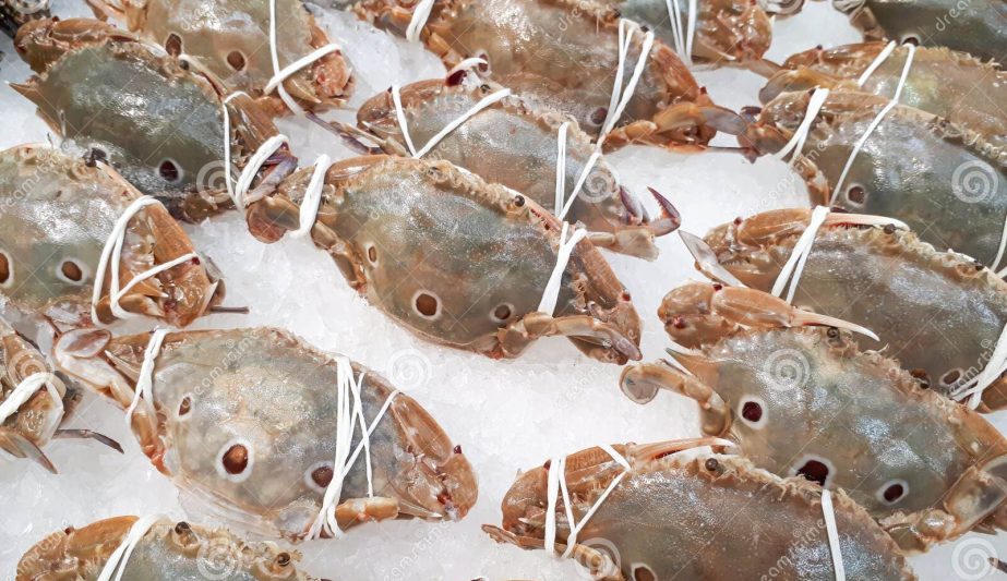 frozen-three-spot-swimming-crabs-frozen-three-spot-swimming-crabs-portunus-sanguinolentus-icy-tray-department-store-103094839