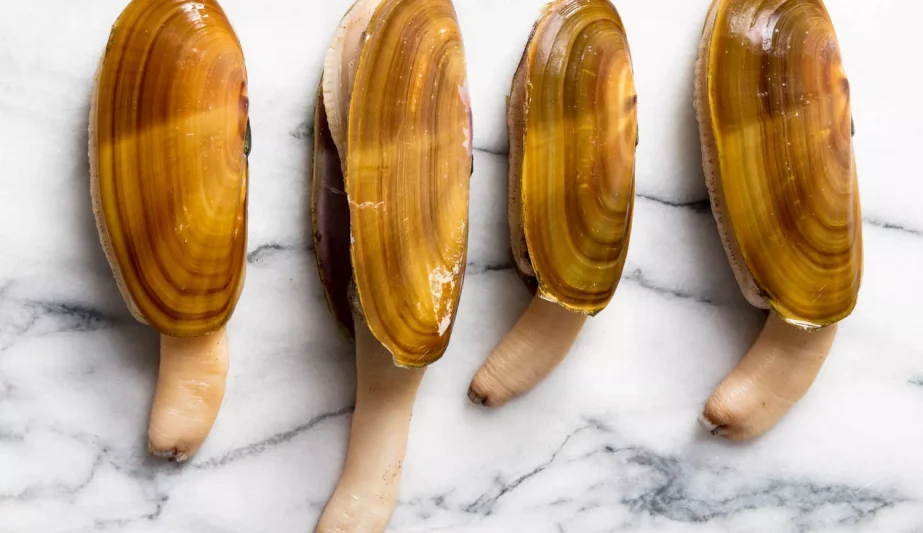 __opt__aboutcom__coeus__resources__content_migration__serious_eats__seriouseats.com__2018__04__20180327-clam-guide-vicky-wasik-pacific-northwest-razor-clams-ed993c7689994487b61e70