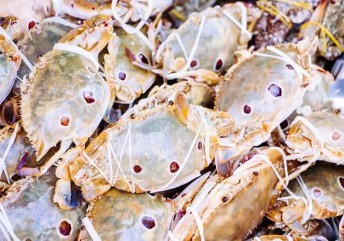 three-spot-swimming-crab-portunus-sanguinolentus-market-three-spot-swimming-crab-portunus-sanguinolentus-market-132354149